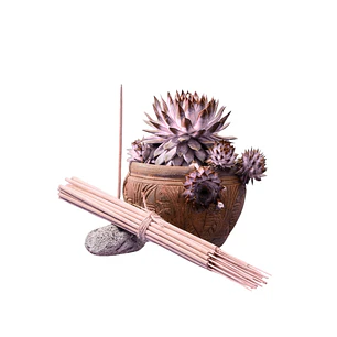 Incienso Jardín Magnolia 49 cm 3 h Euroscents 25 uni