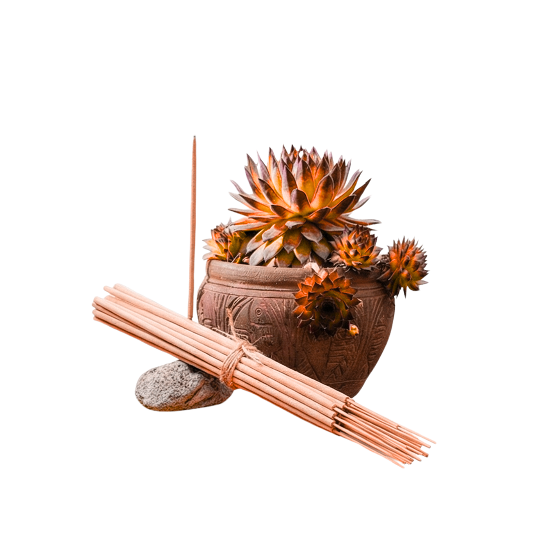 Incienso Jardín Mandarina Oriental 49 cm 3 h Euroscents 25 uni 1