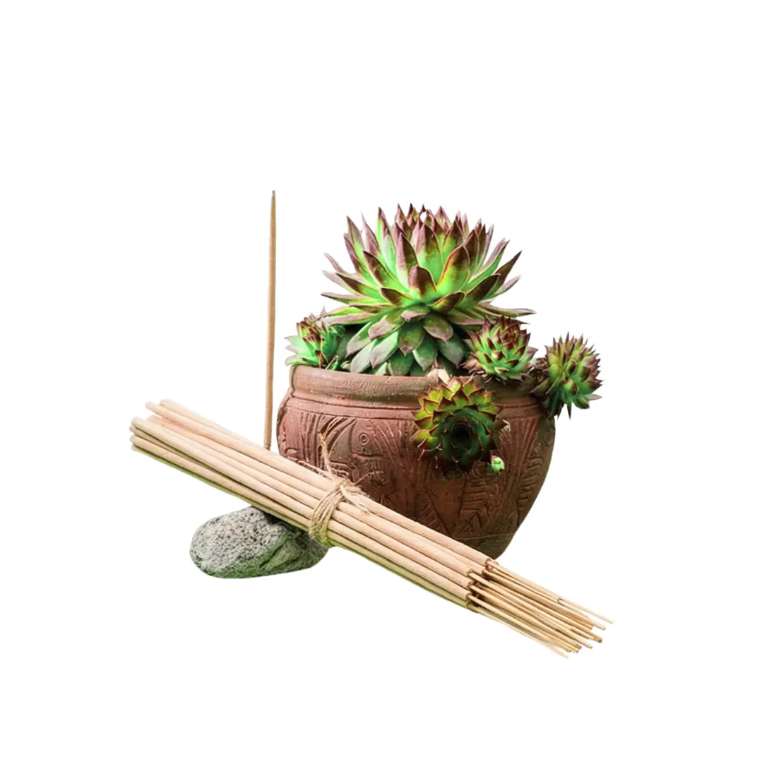 Incienso Jardín Melón 49 cm 3 h Euroscents 25 uni 1