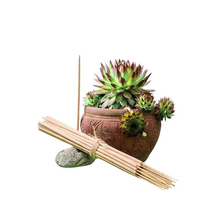 Incienso Jardín Melón 49 cm 3 h Euroscents 25 uni 1