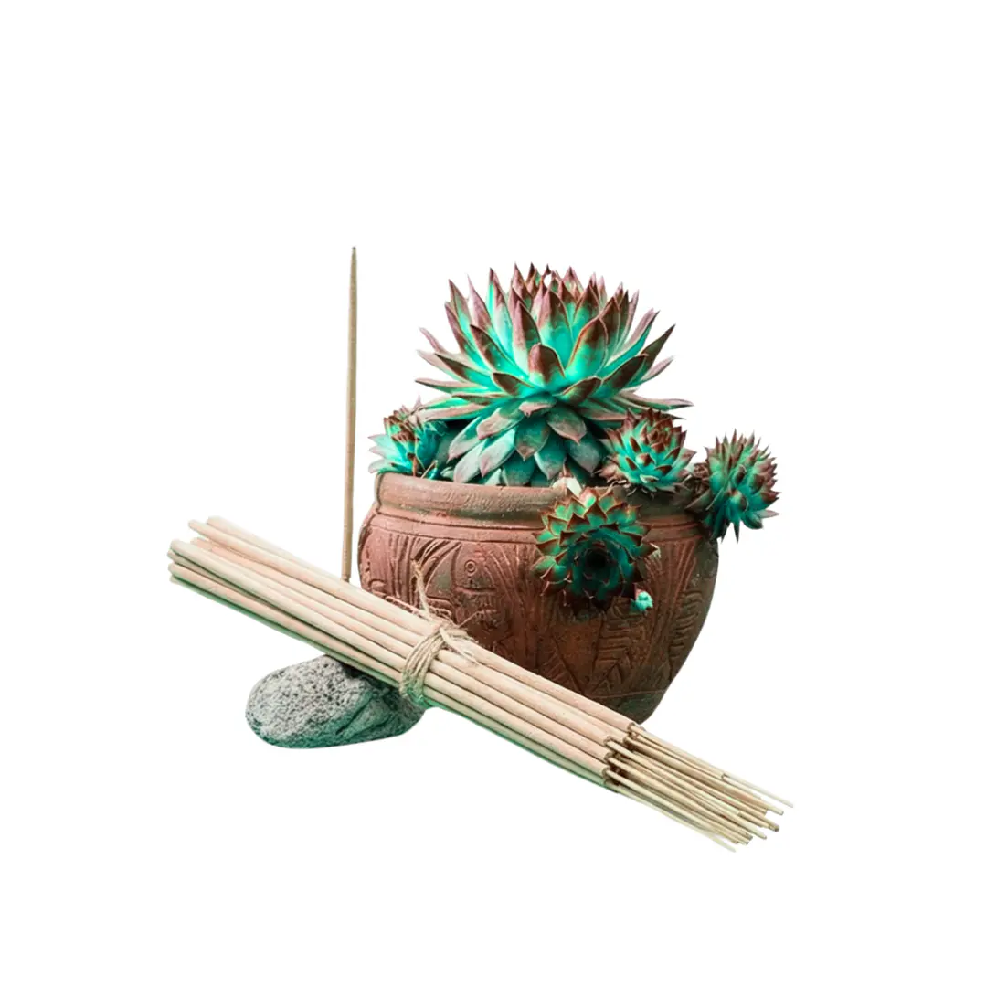 Incienso Jardín Menta 49 cm 3 h Euroscents 25 uni 1