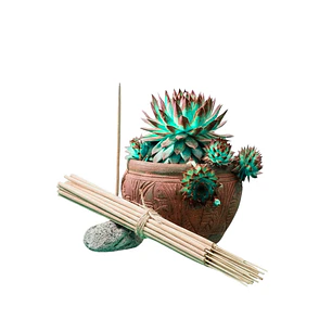 Incienso Jardín Menta 49 cm 3 h Euroscents 25 uni