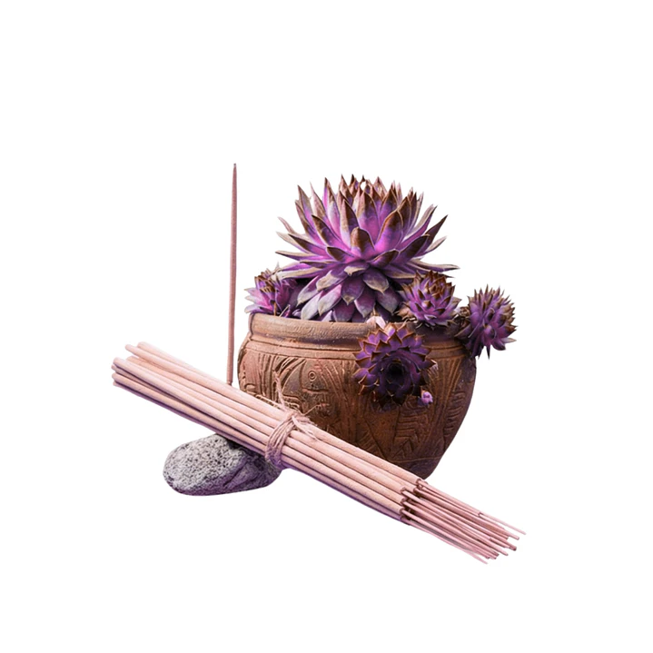 Incienso Jardín Moras 49 cm 3 h Euroscents 25 uni 1