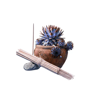 Incienso Jardín Nagchampa 49 cm 3 h Euroscents 25 uni