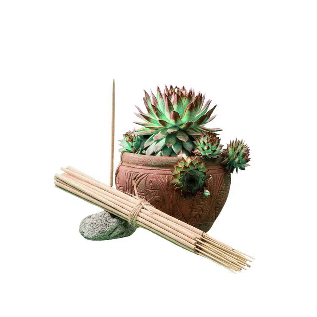 Incienso Jardín Naturaleza 49 cm 3 h Euroscents 25 uni 1