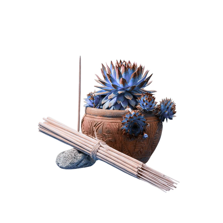 Incienso Jardín Noches de Verano 49 cm 3 h Euroscents 25 uni 1