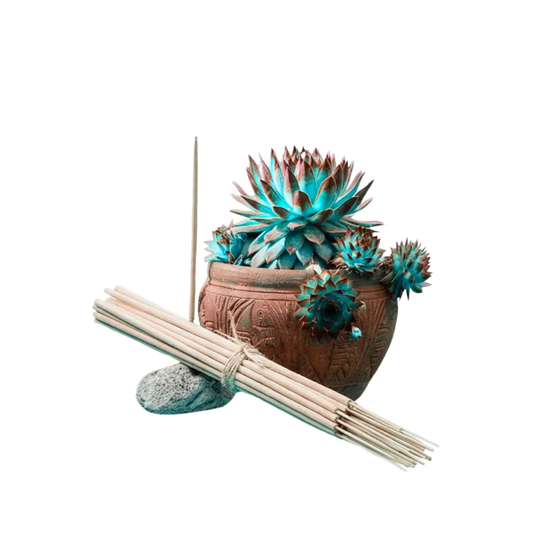 Incienso Jardín Oasis 49 cm 3 h Euroscents 25 uni 1