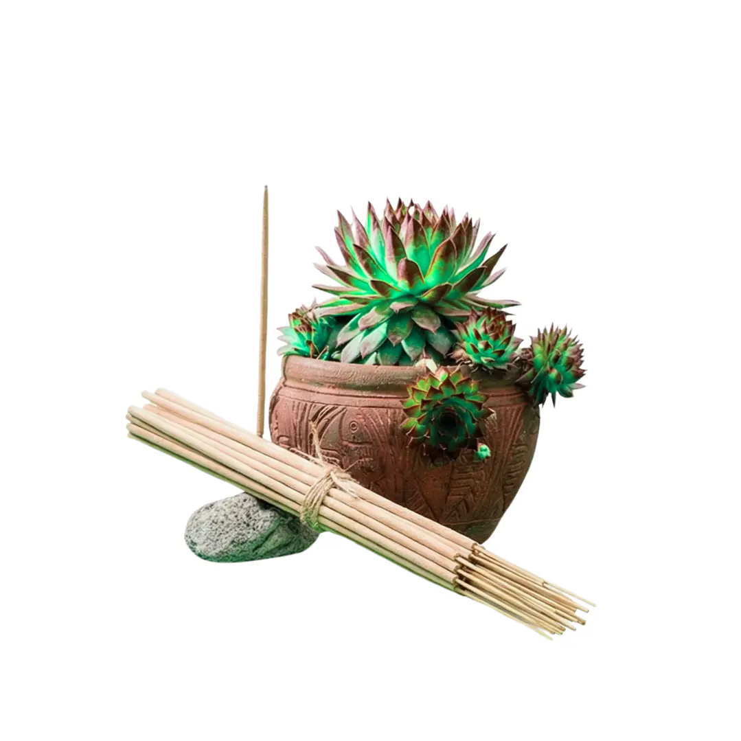 Incienso Jardín Pomelo y Menta 49 cm 3 h Euroscents 25 uni 1