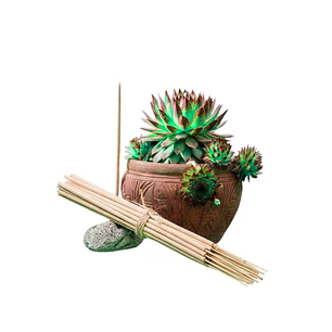 Incienso Jardín Pomelo y Menta 49 cm 3 h Euroscents 25 uni