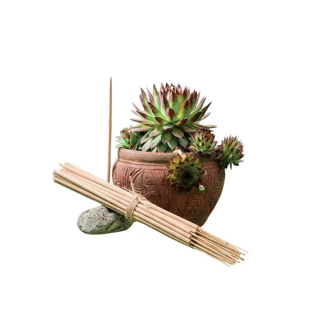 Incienso Jardín Rama de Olivo 49 cm 3 h Euroscents 25 uni 1