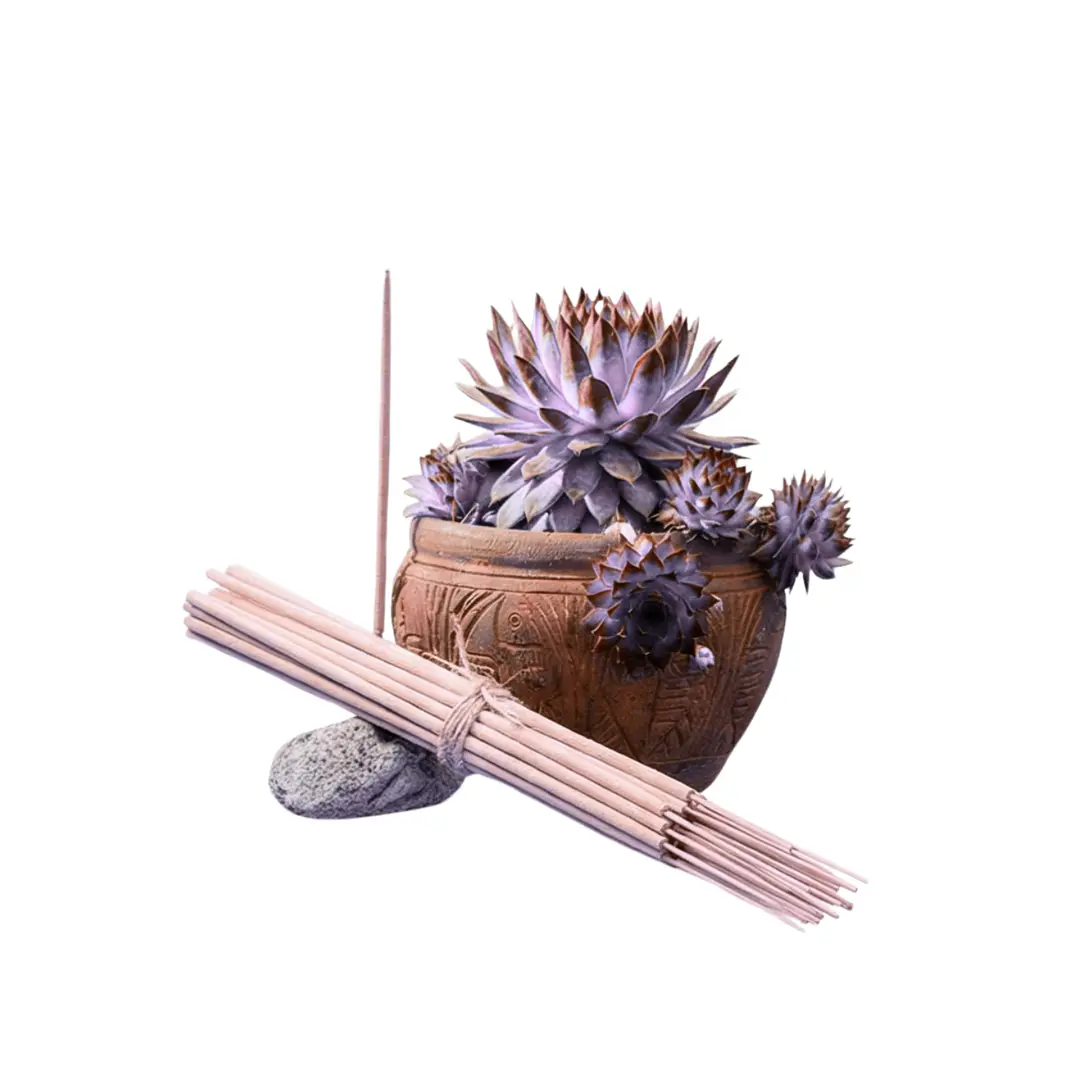 Incienso Jardín Relajante 49 cm 3 h Euroscents 25 uni 1