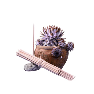 Incienso Jardín Relajante 49 cm 3 h Euroscents 25 uni