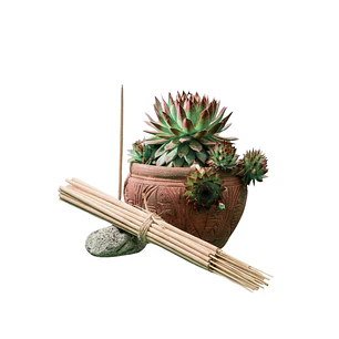 Incienso Jardín Romero 49 cm 3 h Euroscents 25 uni