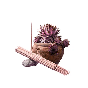 Incienso Jardín Rosa Negra 49 cm 3 h Euroscents 25 uni