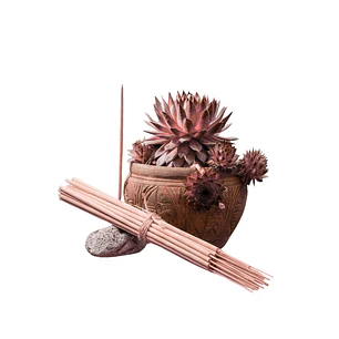 Incienso Jardín Rose y Oudh 49 cm 3 h Euroscents 25 uni