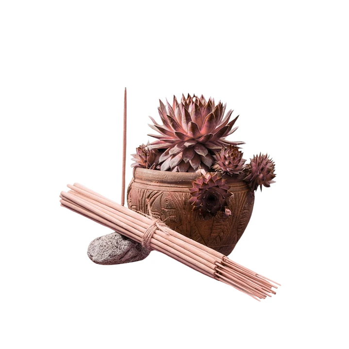 Incienso Jardín Rose y Oudh 49 cm 3 h Euroscents 25 uni 1