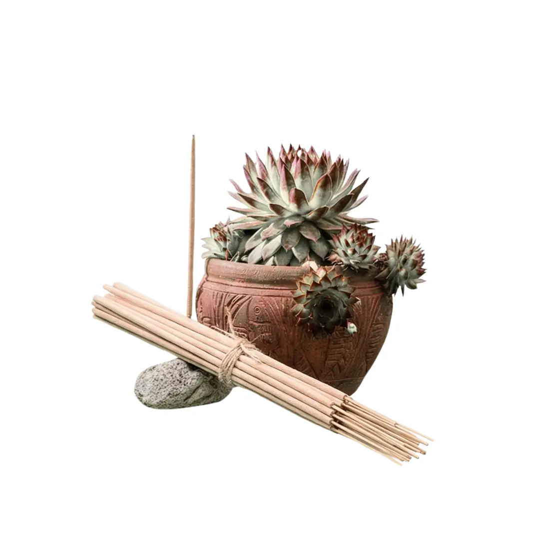 Incienso Jardín Salvia Blanca 49 cm 3 h Euroscents 25 uni 1