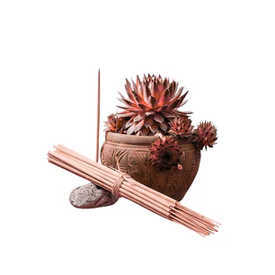 Incienso Jardín Sangre de Drago 49 cm 3 h Euroscents 25 uni