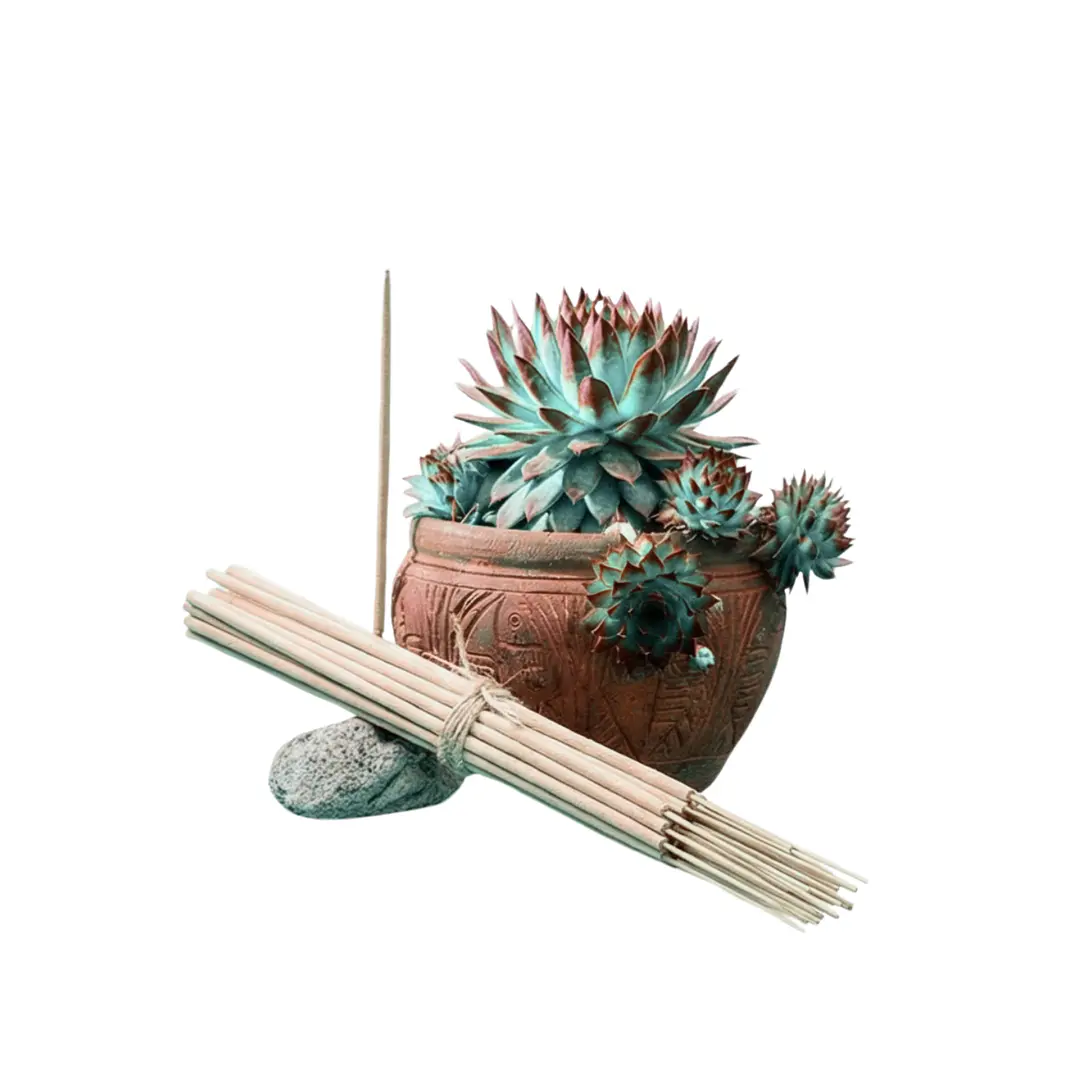 Incienso Jardín Spa 49 cm 3 h Euroscents 25 uni 1