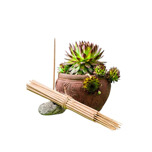 Incienso Jardín Verbena 49 cm 3 h Euroscents 25 uni