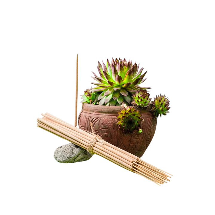 Incienso Jardín Verbena 49 cm 3 h Euroscents 25 uni 1