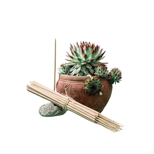 Incienso Jardín Yoga 49 cm 3 h Euroscents 25 uni