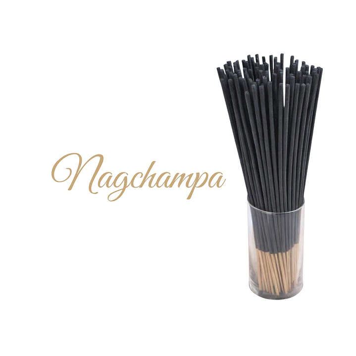 Incienso en Varilla Nagchampa Euroscents 50/100 var 1
