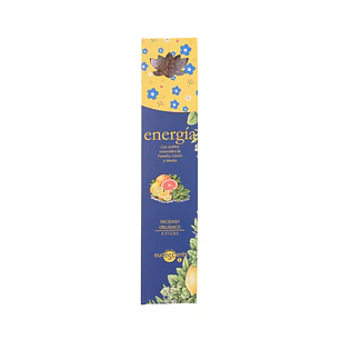 Estuche Incienso Energía Aromaterapia Euroscents 8 var