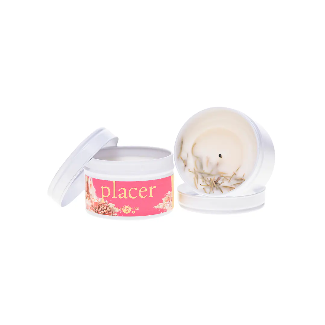 Vela Vegetal Aromaterapia Placeres Euroscents 100 g  1