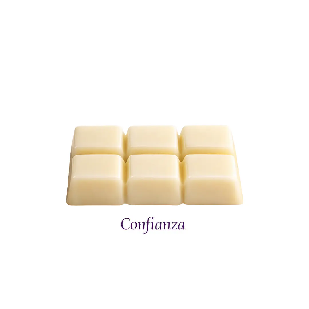 Tableta Cera Vegetal Aromaterapia Confianza Euroscents 70 g 1