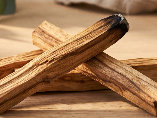 Palo Santo la Madera Sagrada