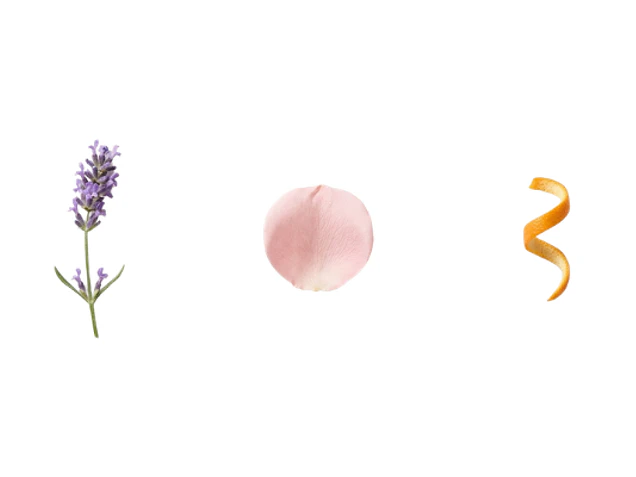 Aromas Naturales que Mejoran el Estado de Ánimo