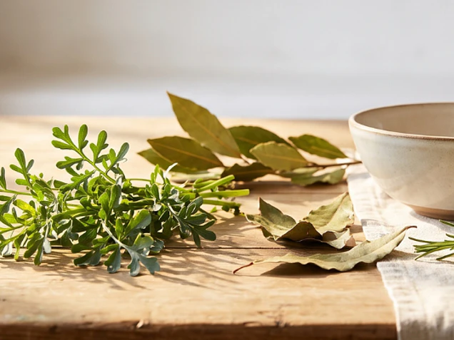 Ruda Laurel y Romero Los Aromas Naturales que Ayudan a Mantener Alejados los Insectos en Casa