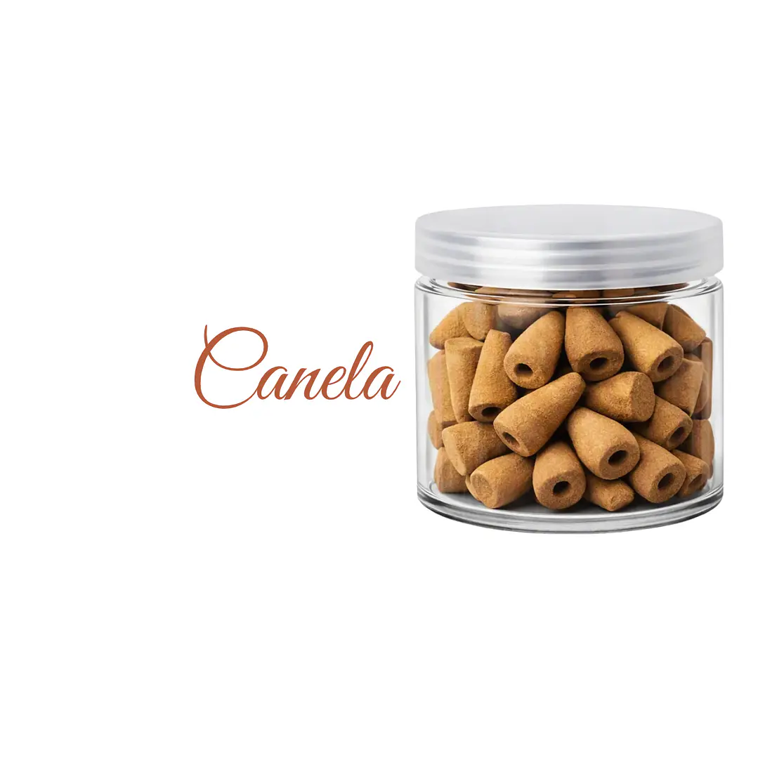 Incienso en Cono de Reflujo Canela Euroscents Tarro 100 uni 1