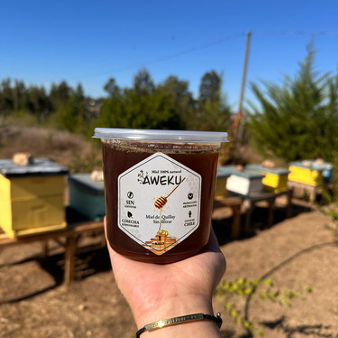 Miel 100% Natural Cruda Quillay Aweku 1 Kilo + Cuchara Miel 2
