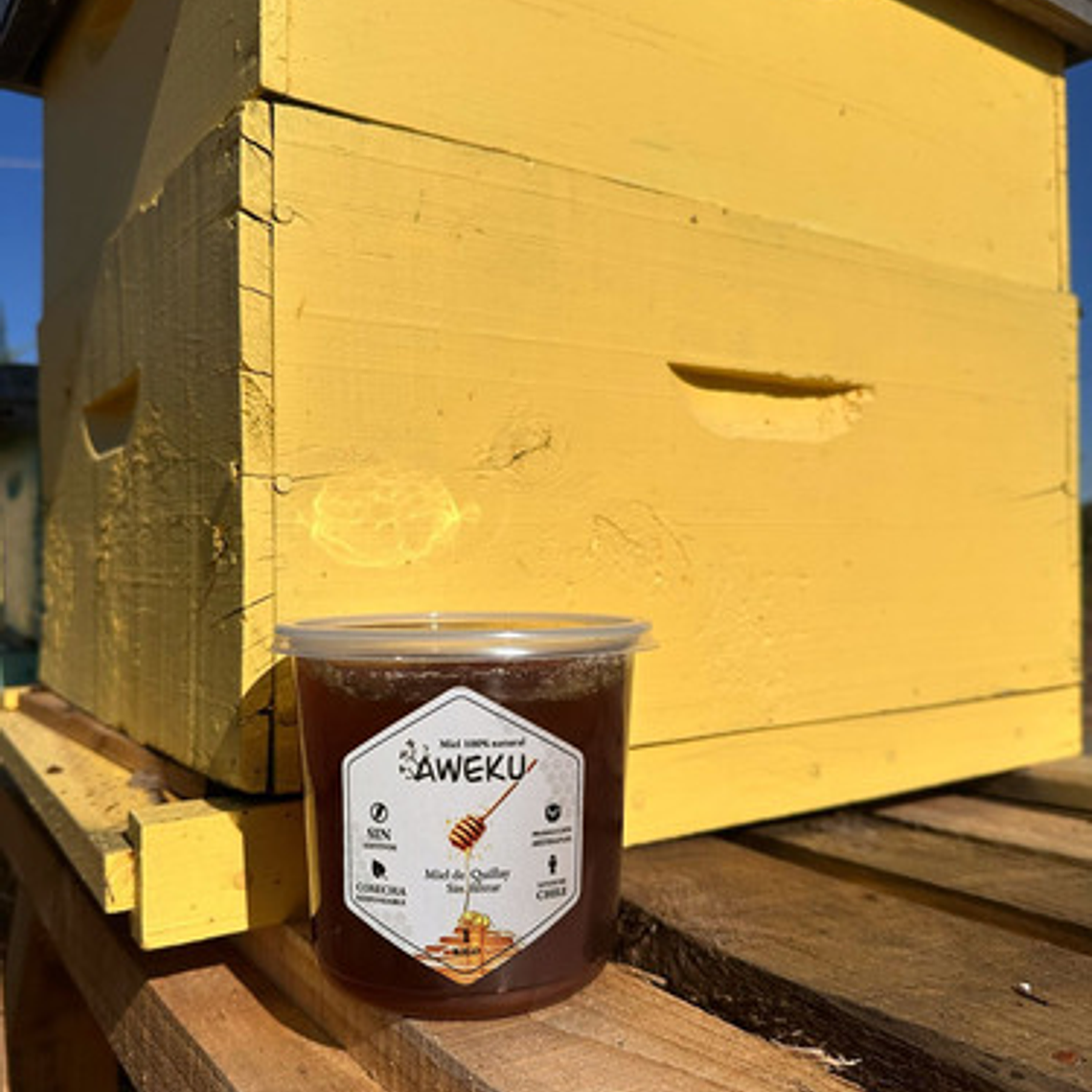 Miel 100% Natural Cruda Quillay Aweku 1 Kilo + Cuchara Miel 4