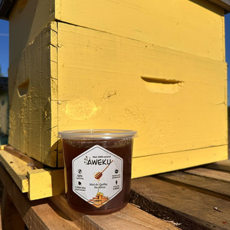 Miel 100% Natural Cruda Quillay Aweku 1 Kilo + Cuchara Miel 4