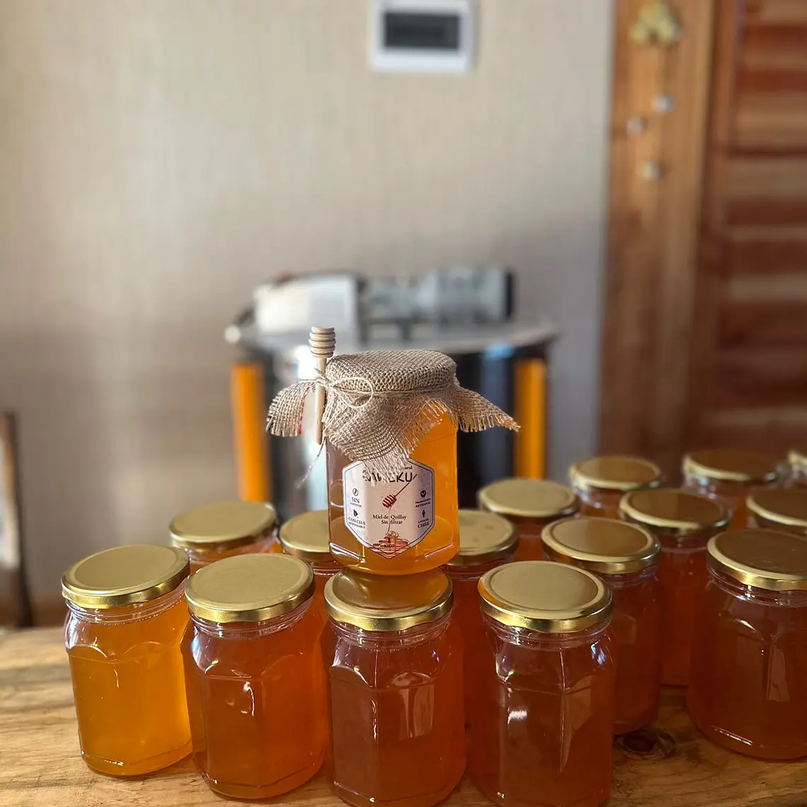 Miel 100% Natural Cruda Quillay Aweku 1 Kilo + Cuchara Miel 4