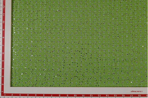 Denim Verde Calado con Lentejuelas