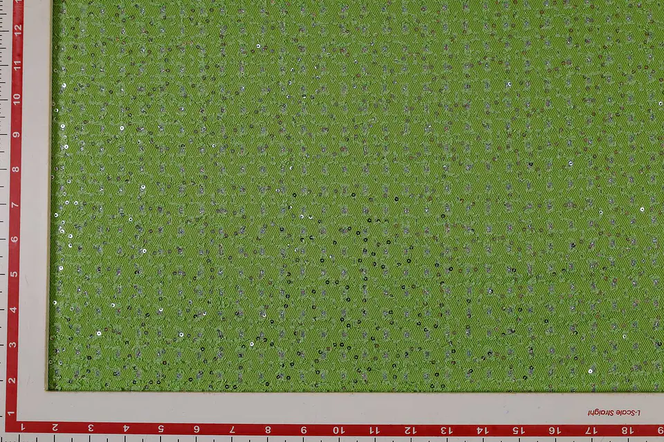 Denim Verde Calado con Lentejuelas 2
