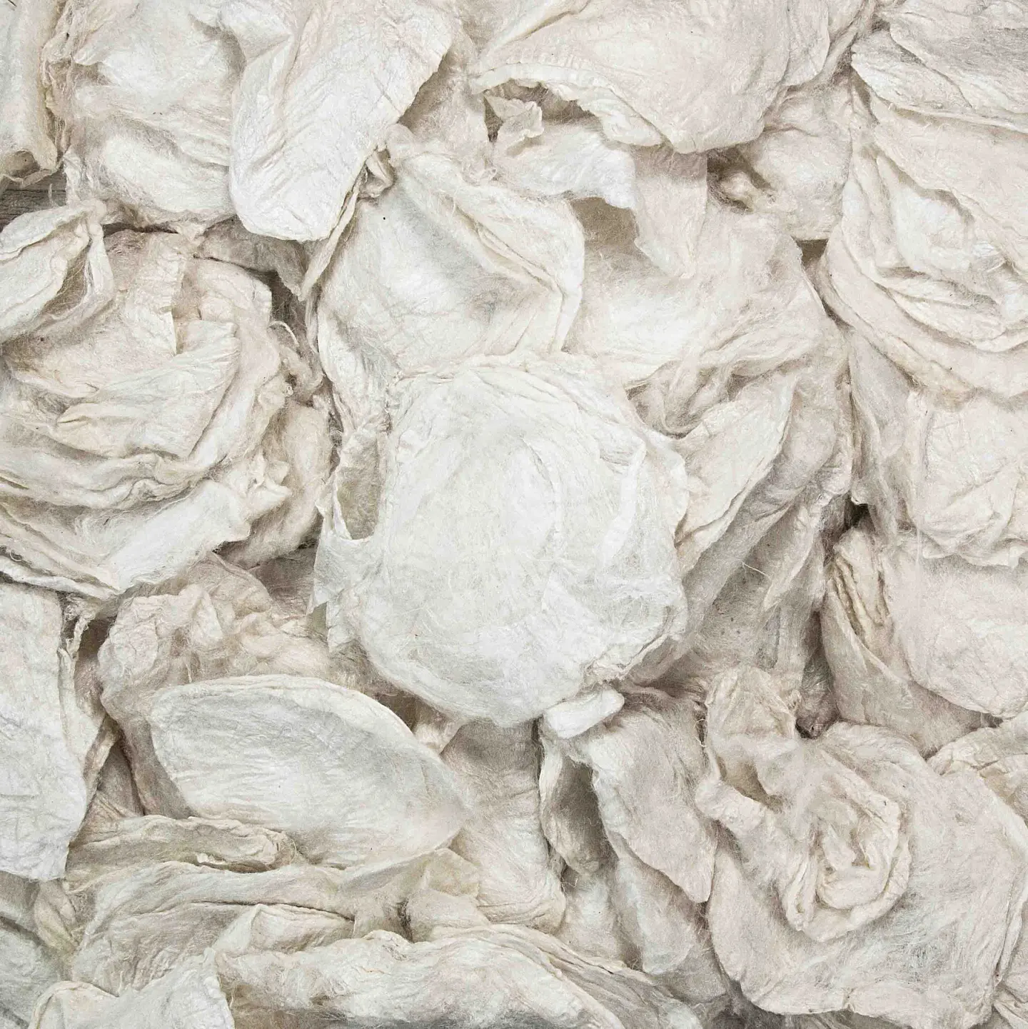 Capullos de Seda Eri Naturales para Hilado Artesanal – 1 kg 3