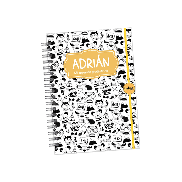 Agenda pediátrica colección minimalista niños 6