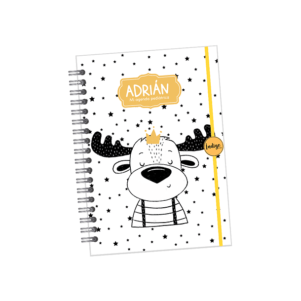 Agenda pediátrica colección minimalista niños 8