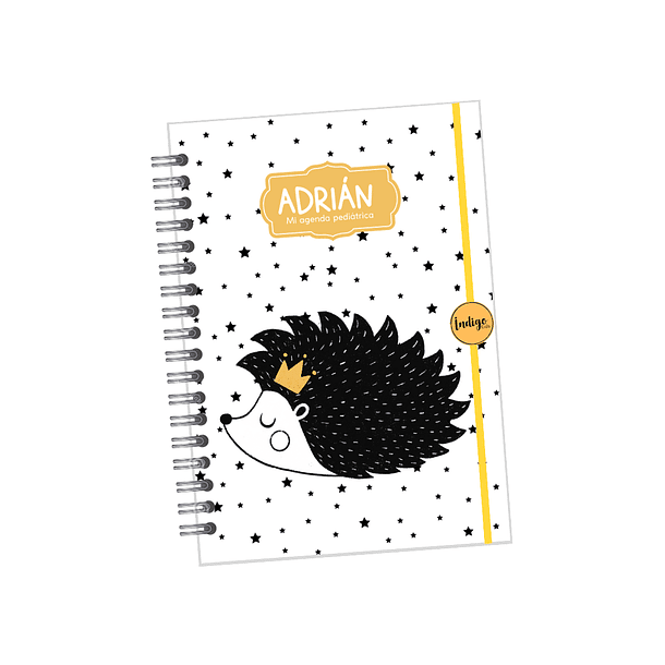 Agenda pediátrica colección minimalista niños 7