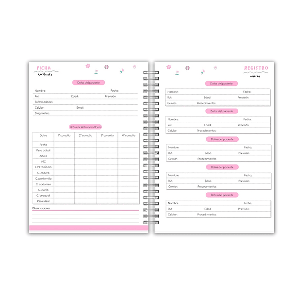 Planner Nutricionista 6