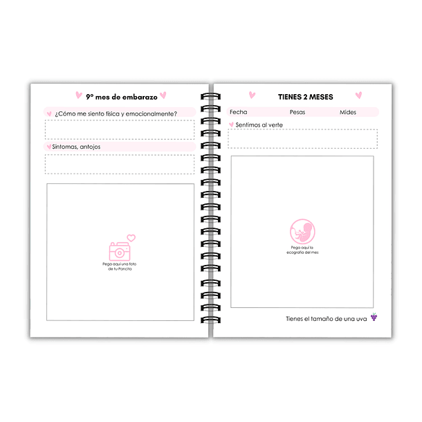 agenda Prenatal rosas 9