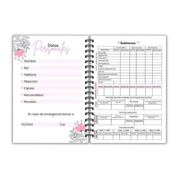 Agenda prenatal violet