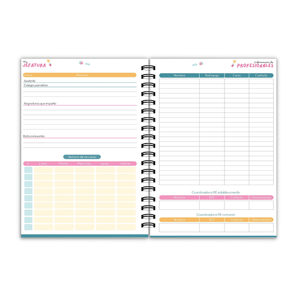 Planner Educadora Diferencial  4