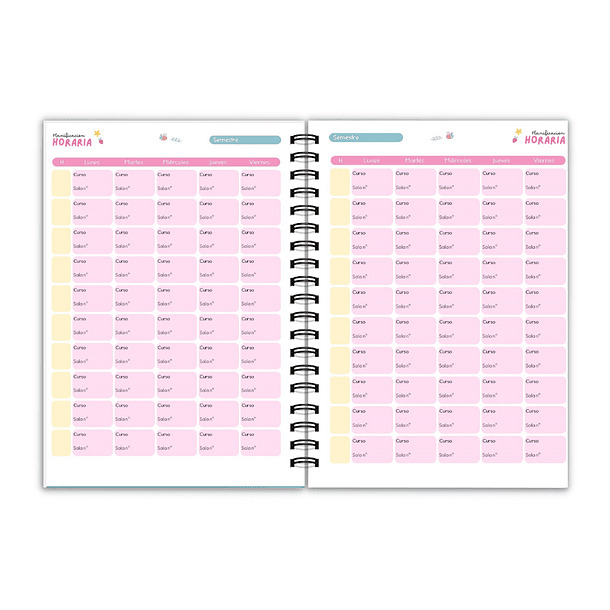 Planner Educadora Diferencial  6