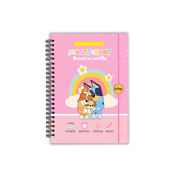 Agenda pediátrica bluey y bingo niña 1